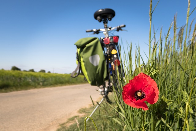 vélo